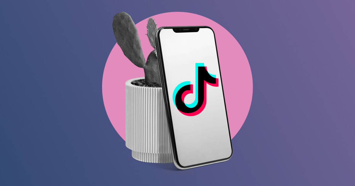 tiktok-marketing-collage.png