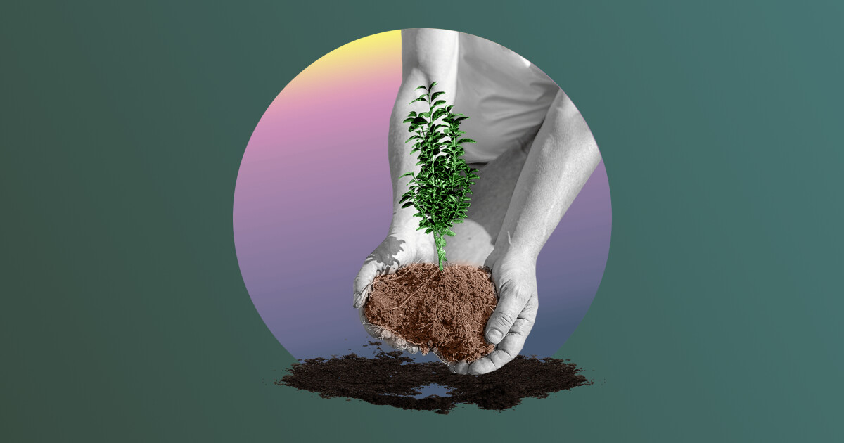 ContentSeeding Definition, Strategien und Beispiele für 2024 acquisa